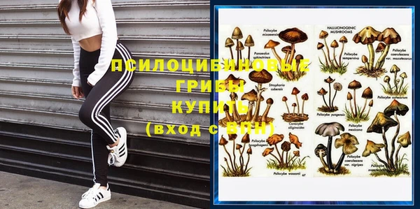 герыч Няндома