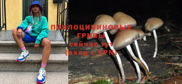 прущая мука Беслан
