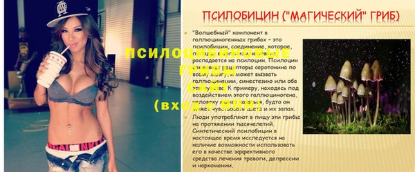 герыч Няндома