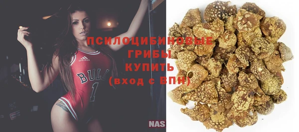 винт Новодвинск