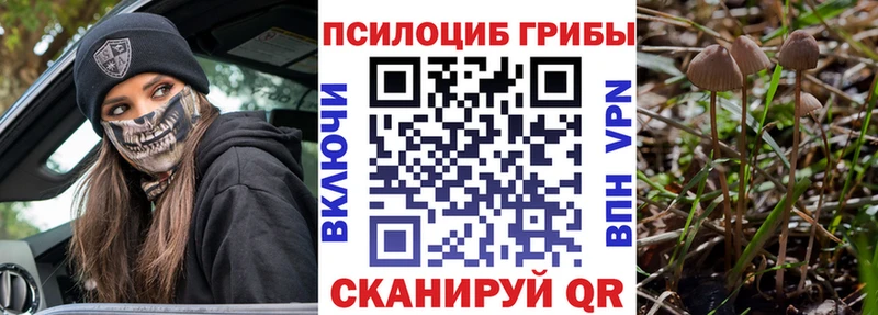Псилоцибиновые грибы Psilocybe  Лениногорск 