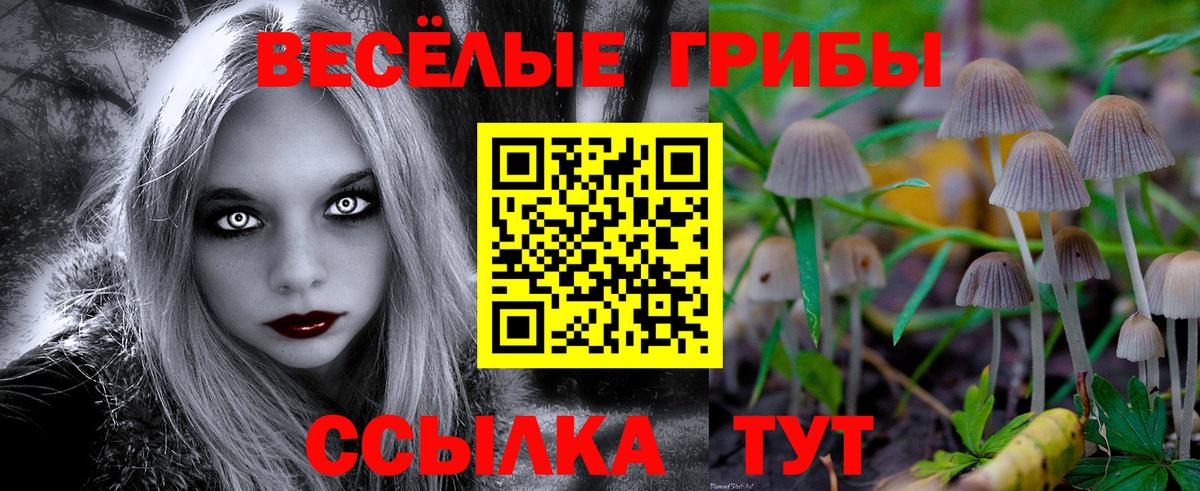 Лениногорск  Псилоцибиновые грибы Psilocybe  Галлюциногенные грибы прущие грибы  Вход с VPN 