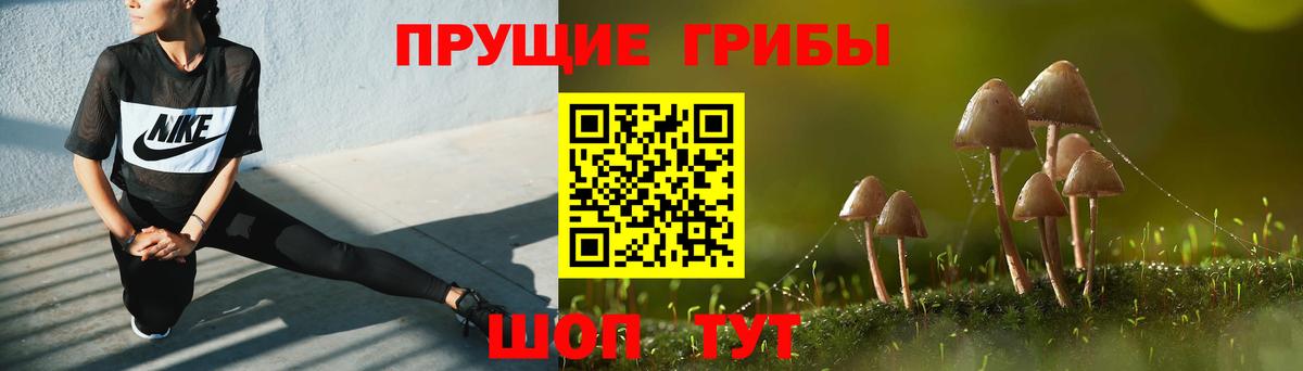 Галлюциногенные грибы ЛСД Лениногорск
